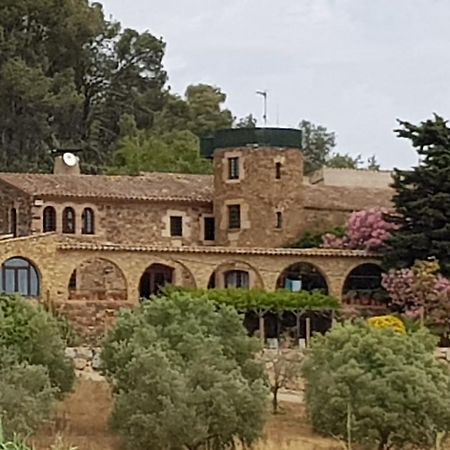 Mas Tomas Guest House Vall-Llobrega Exterior foto